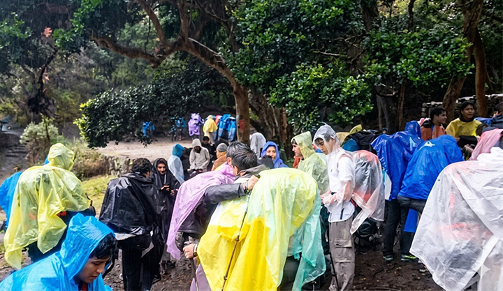 Negligencia en el Camino Inca: cientos de turistas quedan atrapados por falta de mantenimiento en la ruta
