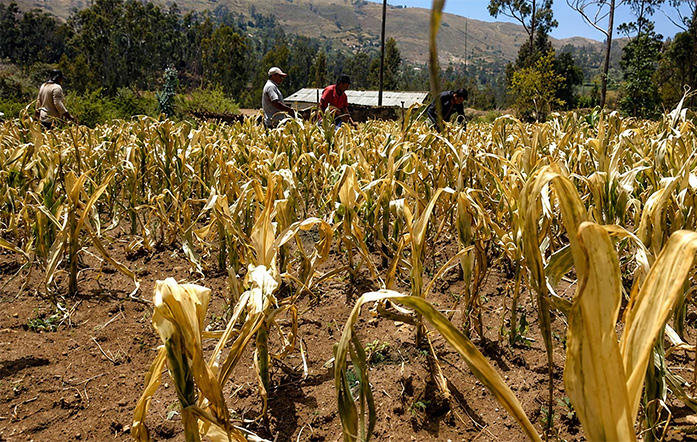 El Niño 2026-2027 podría provocar en el Cusco una sequía tan grave como la de hace cuatro décadas
